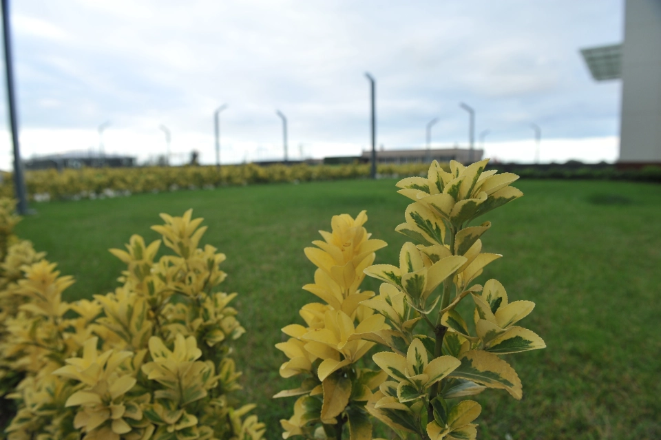 The most famous apartment in Trabzon suitable for investment